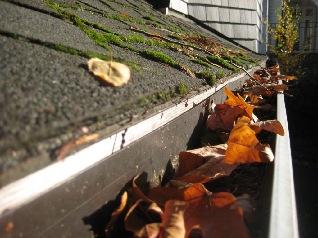 Gutter-cleaning-perth