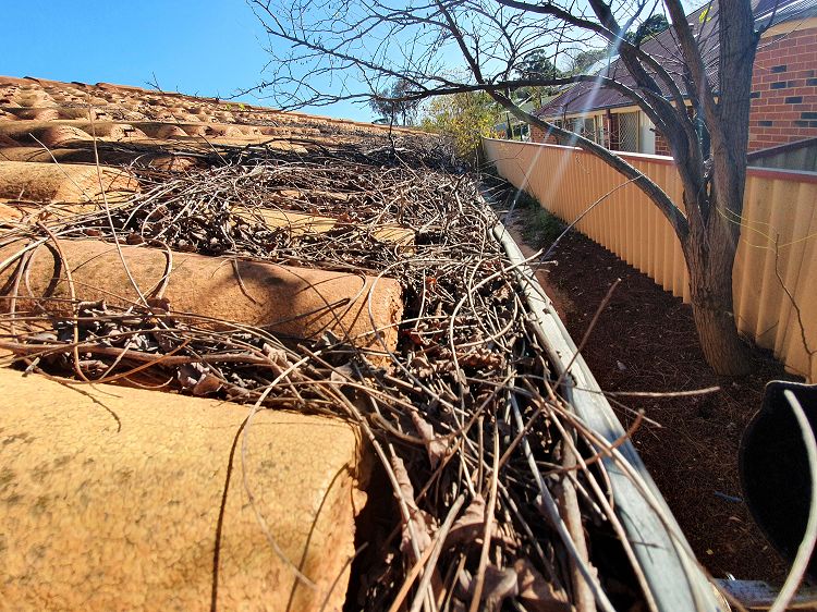 Gutter_cleaning_mandurah